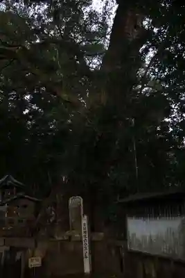 生目神社(宮崎県)