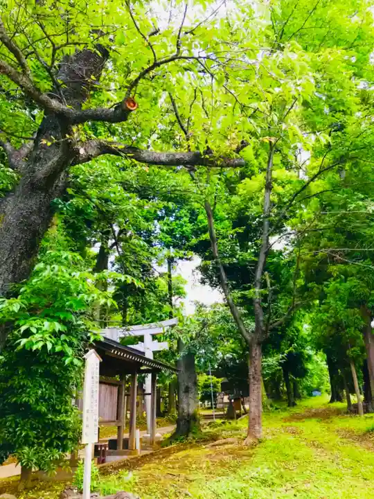 星宮神社(茨城県)