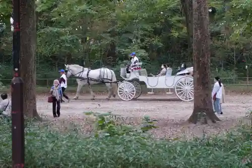 賀茂御祖神社（下鴨神社）の動物