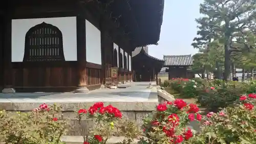 建仁寺（建仁禅寺）の庭園