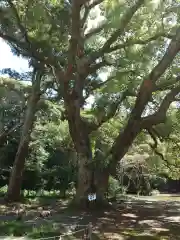 曽許乃御立神社(静岡県)