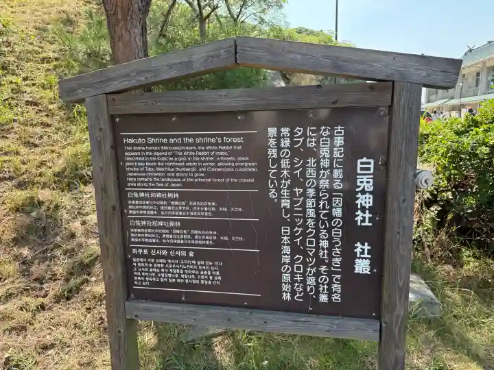 白兎神社(鳥取県)