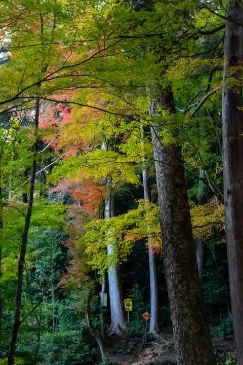 大矢田神社(岐阜県)