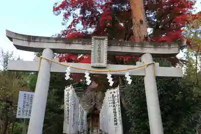 開成山大神宮の鳥居