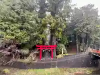 須山浅間神社(静岡県)