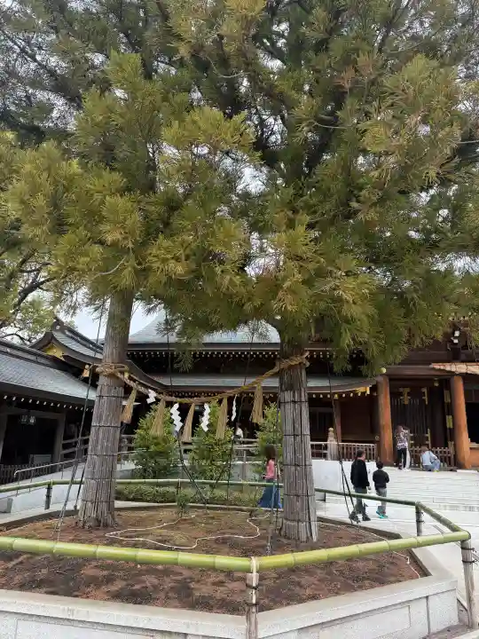 寒川神社の{uncategorized: "未分類", other: "その他", undefined: "問題あり", building: "その他建物", grave: "お墓", sacred_gate: "鳥居", guardian: "狛犬", statue: "像", buddha: "仏像", history: "歴史", nature: "自然", garden: "庭園", animal: "動物", pagoda: "塔", temizu: "手水舎", mountain_gate: "山門・神門", sanctuary: "本殿・本堂", subordinate: "末社・摂社", art: "芸術", scenery: "景色", jizo: "地蔵", ema: "絵馬", goshuin: "御朱印", omikuji: "おみくじ", items: "授与品その他", amulet: "お守り", goshuincho: "御朱印帳", eats: "食事", festival: "お祭り", votive_dance: "神楽", shichigosan: "七五三参", wedding: "結婚式", experience: "体験その他", initially: "初詣", around: "周辺", anti_infection: "感染症対策"}