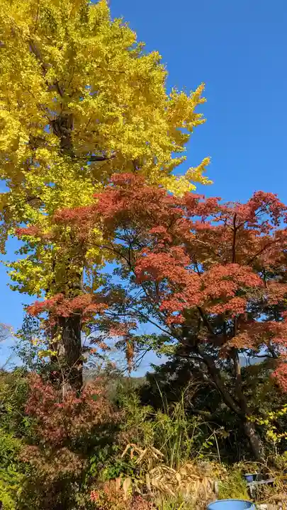 常寂光寺の自然