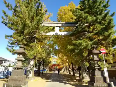 葛飾八幡宮(千葉県)