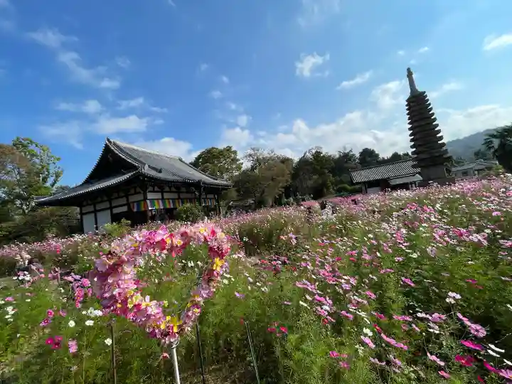 般若寺 ❁コスモス寺❁のその他建物