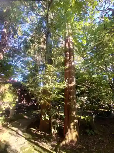 秋葉山量覚院(神奈川県)