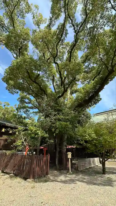 和泉國一之宮 大鳥大社(大阪府)