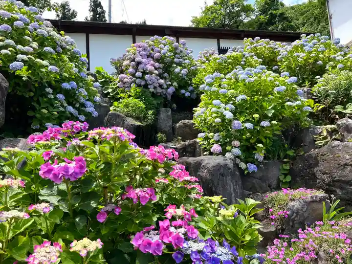 大雲寺(長野県)