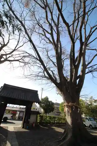 松本神社の山門