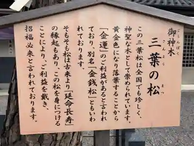 別小江神社の歴史