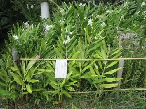 常栄寺(神奈川県)