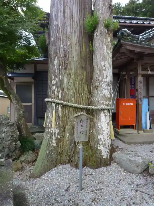 鳴谷神社の自然
