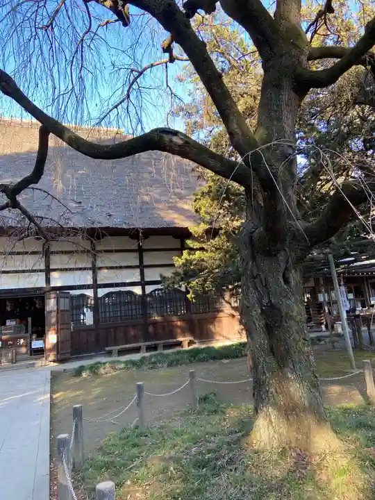 茂林寺のその他建物