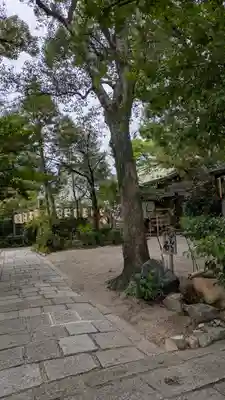 堀越神社(大阪府)