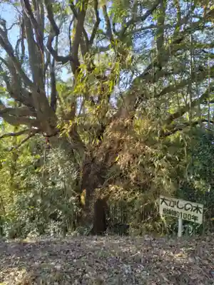 愛宕神社(渕ノ上)(宮城県)