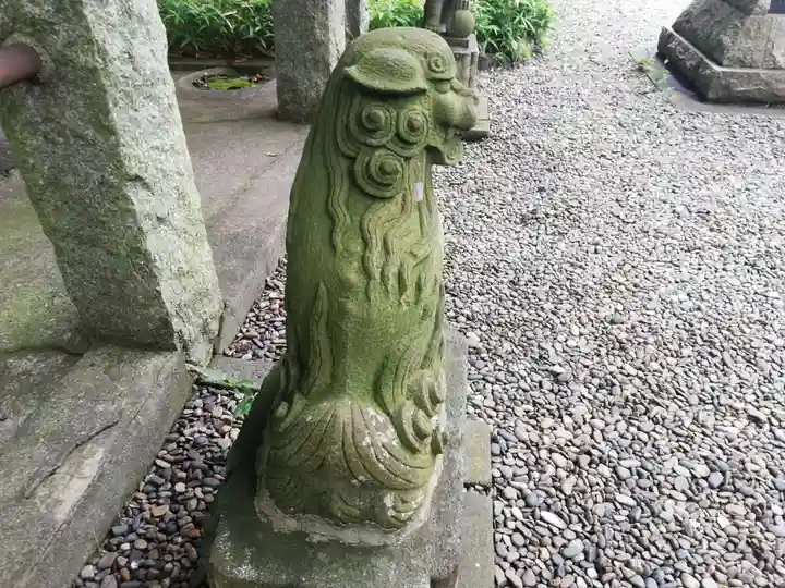 菊田神社の狛犬