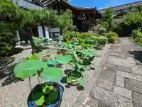 更雀寺(京都府)