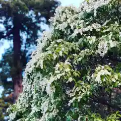 豊景神社の自然