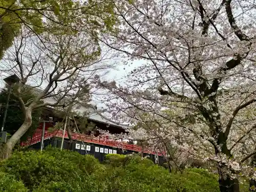 清水観音堂(東京都)