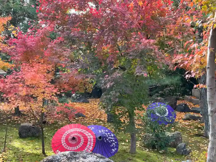 勝林寺(京都府)