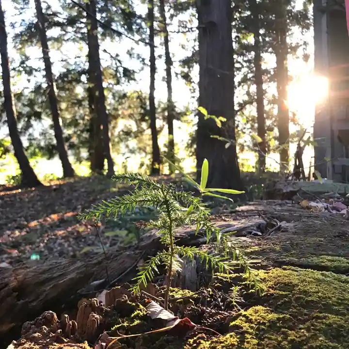 高司神社〜むすびの神の鎮まる社〜(福島県)