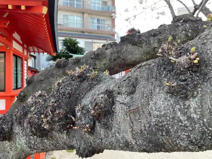兵庫嚴島神社(兵庫県)