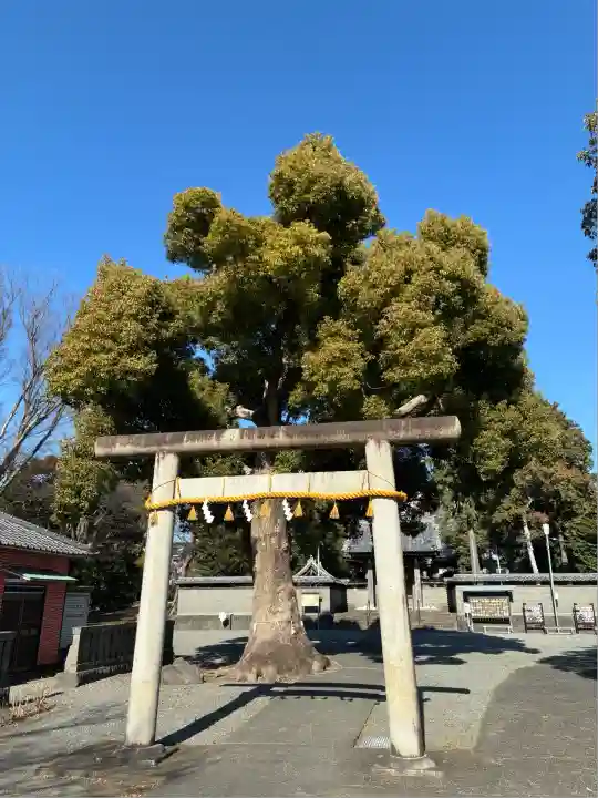 日吉浅間神社(静岡県)