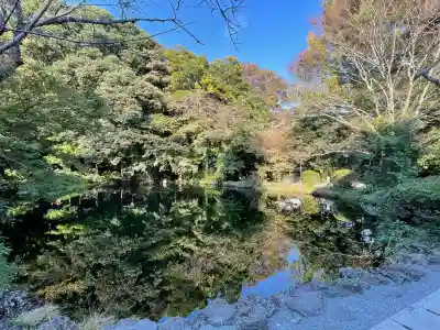 富士山本宮浅間大社(静岡県)