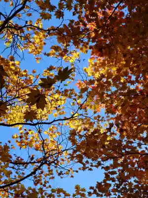 相馬神社(北海道)
