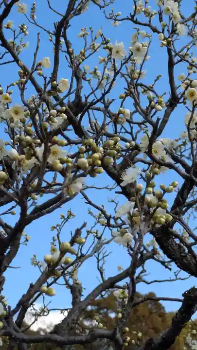 智積院(京都府)