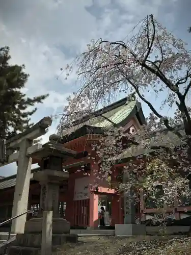 住吉大社(大阪府)