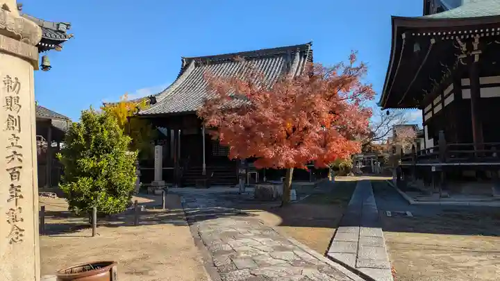 妙顯寺(妙顕寺)(京都府)