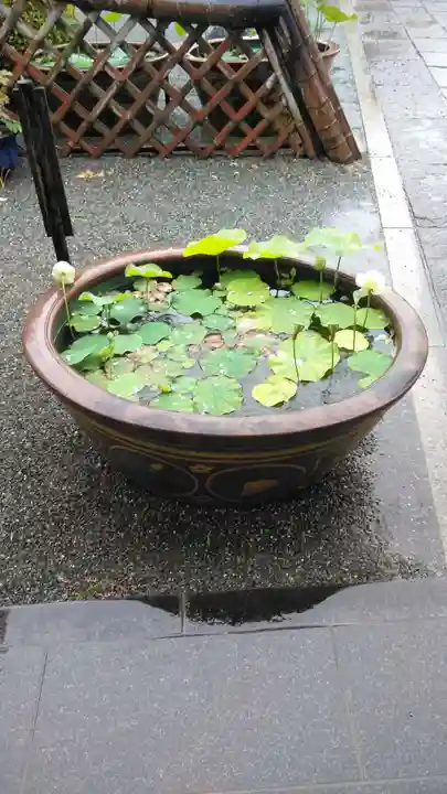 妙蓮寺(神奈川県)