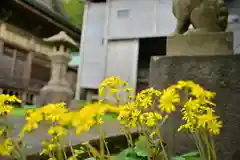 白山媛神社(新潟県)