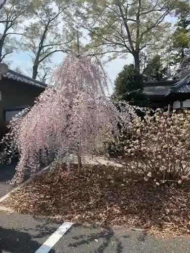 山田八幡神社の庭園