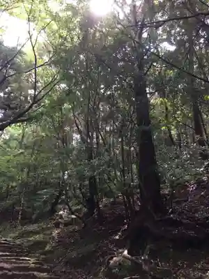 神倉神社（熊野速玉大社摂社）(和歌山県)