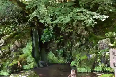 慈照寺（慈照禅寺・銀閣寺）(京都府)