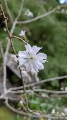 十輪寺(京都府)