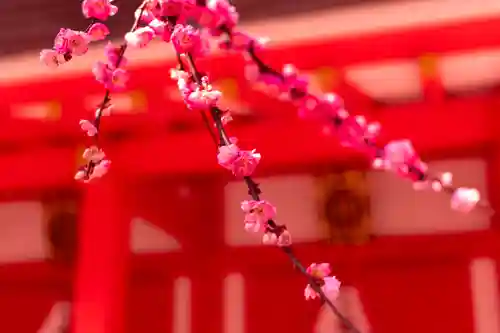 北野天満宮(京都府)