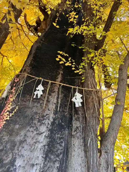 飛木稲荷神社(東京都)