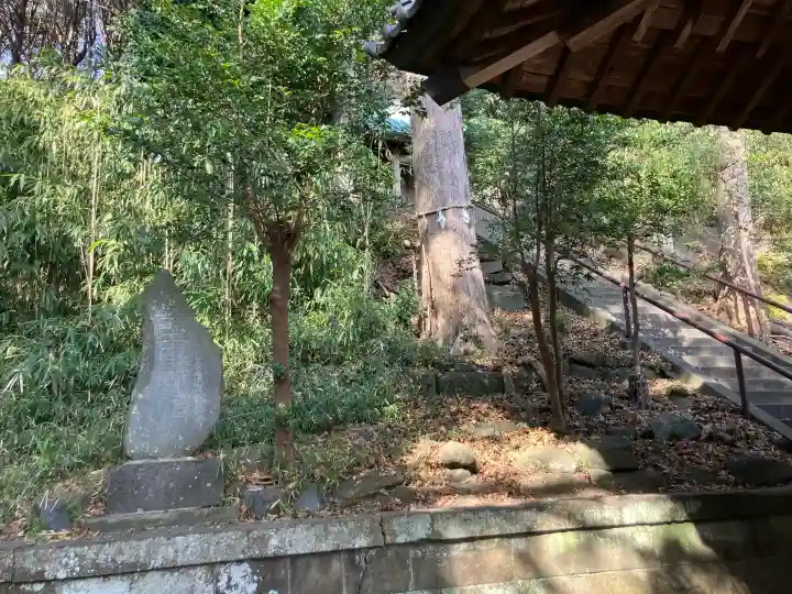 梶原御霊神社の{uncategorized: "未分類", other: "その他", undefined: "問題あり", building: "その他建物", grave: "お墓", sacred_gate: "鳥居", guardian: "狛犬", statue: "像", buddha: "仏像", history: "歴史", nature: "自然", garden: "庭園", animal: "動物", pagoda: "塔", temizu: "手水舎", mountain_gate: "山門・神門", sanctuary: "本殿・本堂", subordinate: "末社・摂社", art: "芸術", scenery: "景色", jizo: "地蔵", ema: "絵馬", goshuin: "御朱印", omikuji: "おみくじ", items: "授与品その他", amulet: "お守り", goshuincho: "御朱印帳", eats: "食事", festival: "お祭り", votive_dance: "神楽", shichigosan: "七五三参", wedding: "結婚式", experience: "体験その他", initially: "初詣", around: "周辺", anti_infection: "感染症対策"}