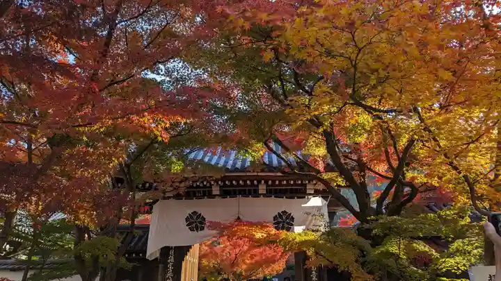 禅林寺(永観堂)(京都府)
