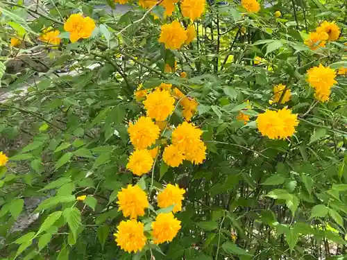 松尾大社(京都府)