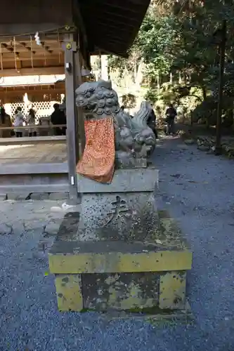 貴船神社奥宮の狛犬