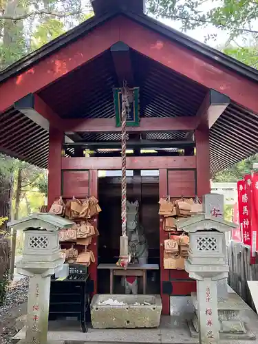 大杉神社(茨城県)