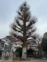 福王山 慈眼寺(東京都)